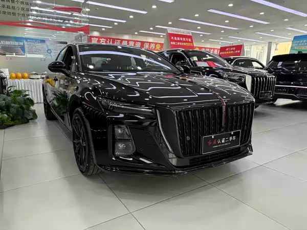 Hongqi H5 2024