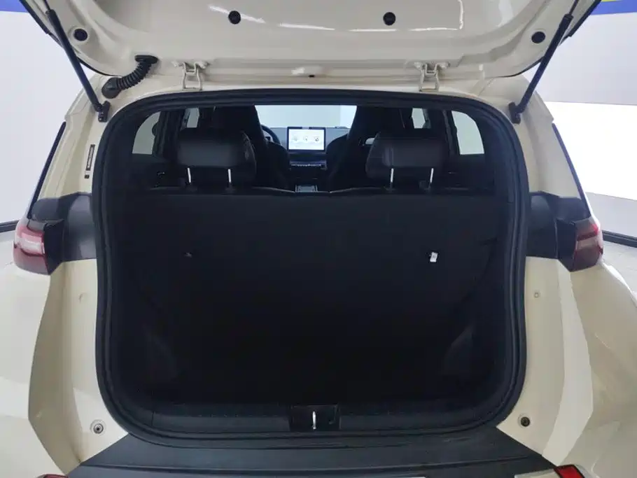BYD Seagull 2024