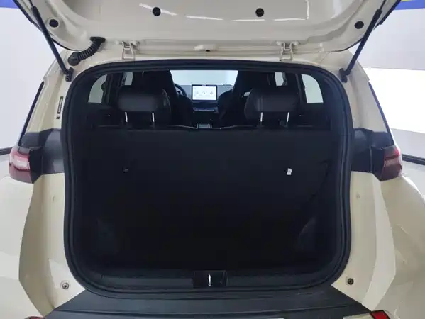 BYD Seagull 2024
