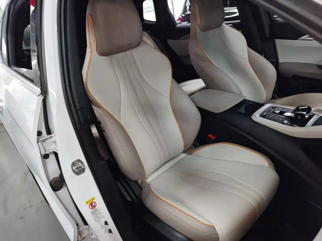 BYD Song Pro New Energy 2024 — фото 25