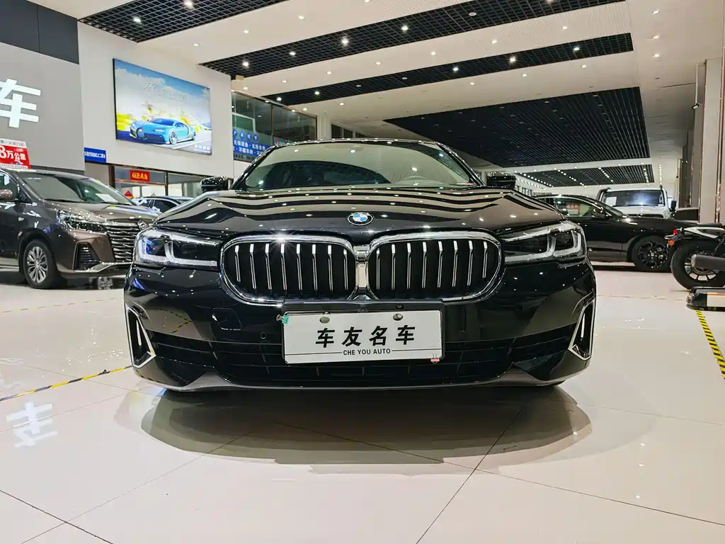 BMW 5 Series New Energy 2021