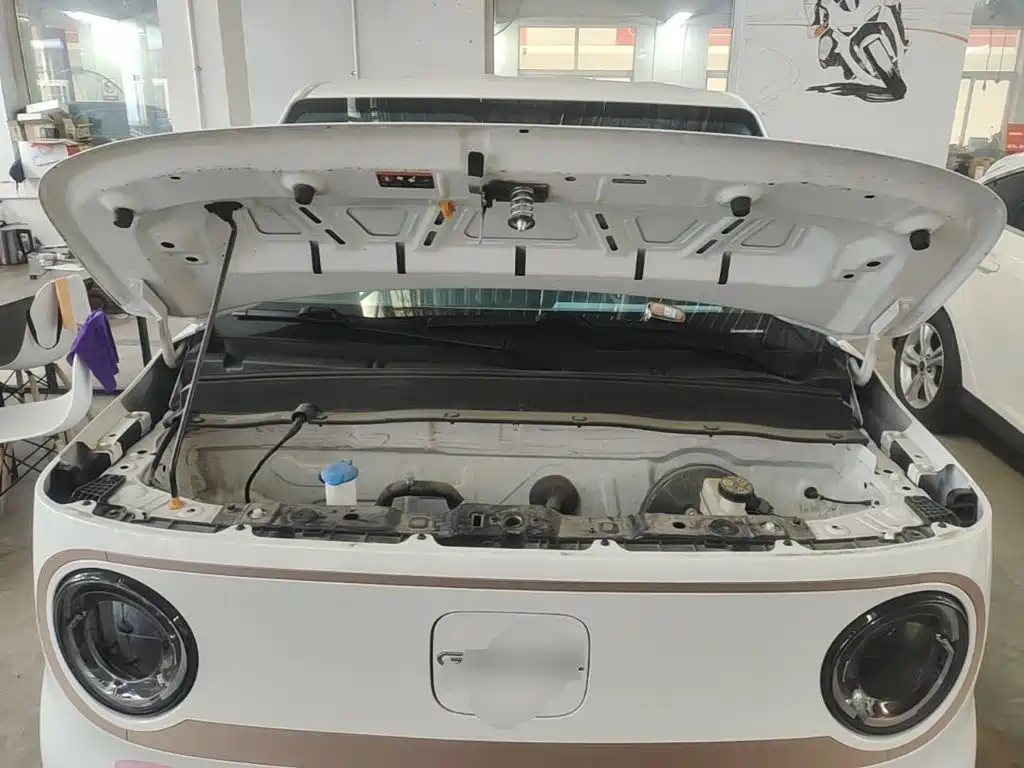 Geely Galaxy Panda 2025 — фото 20