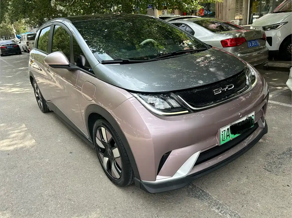 BYD Dolphin 2022