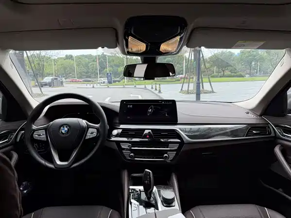 BMW 5 Series 2021