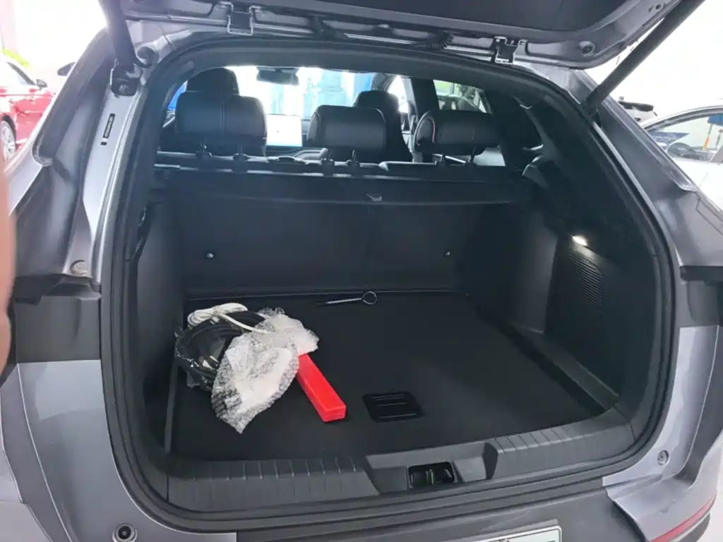 BYD Song PLUS New Energy 2023 — фото 19