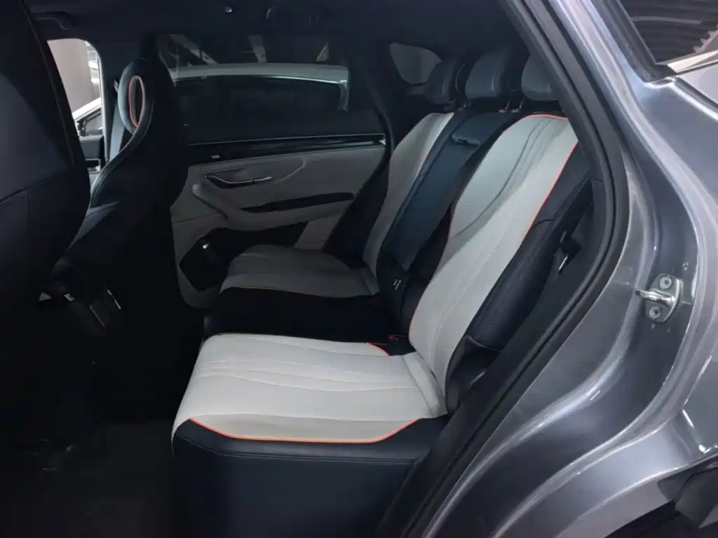 BYD Song PLUS New Energy 2023 — фото 17