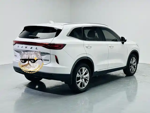 Haval H6 2021 — фото 16