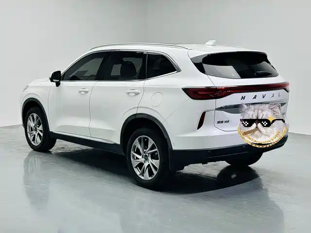 Haval H6 2021 — фото 14