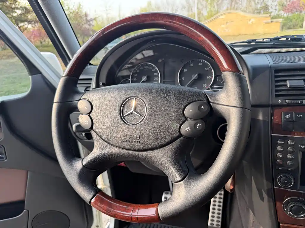 Mercedes-Benz G-Class 2012 — фото 17