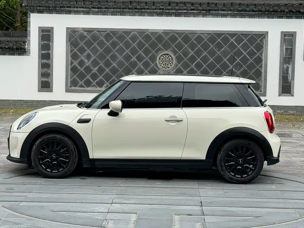 MINI MINI 2021