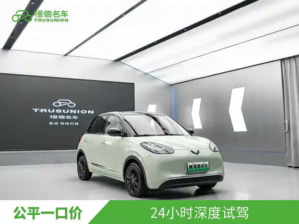 Wuling Bingo 2024