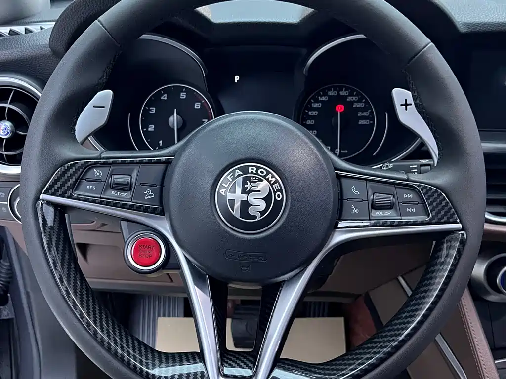 Alfa Romeo Stelvio 2019 — фото 16