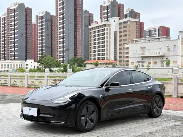 Tesla Model 3 2019