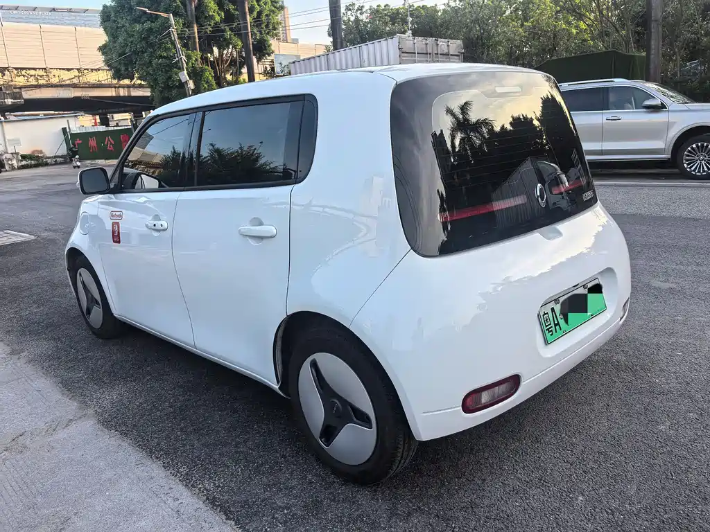 Ora White Cat 2021