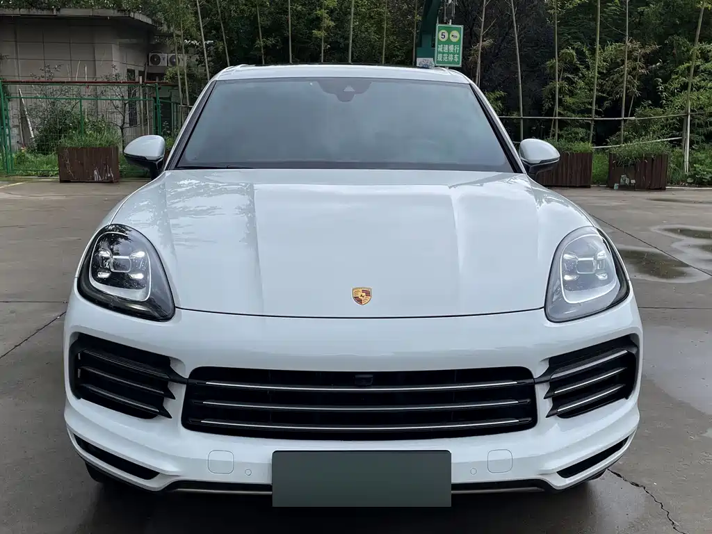 Porsche Cayenne New Energy 2019 — фото 2