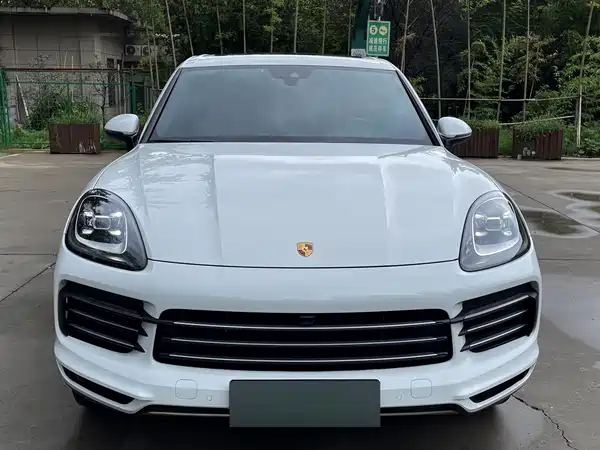 Porsche Cayenne New Energy 2019