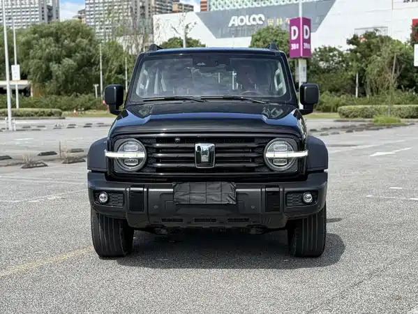 Tank 300 2024