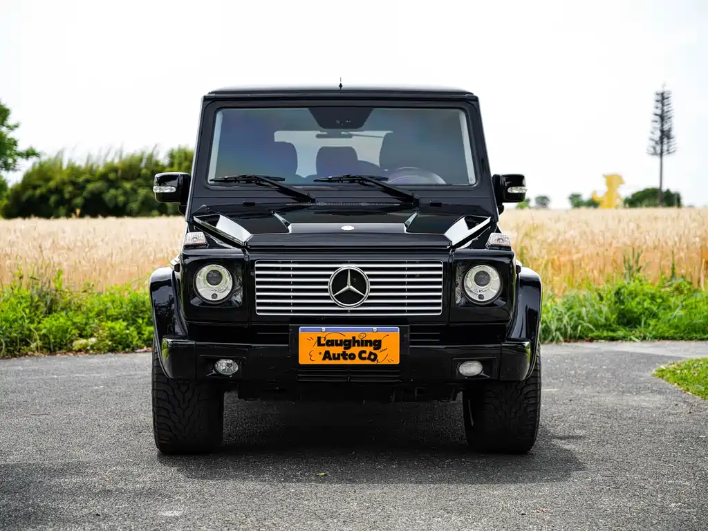 Mercedes-Benz G-Class AMG 2009 — фото 2