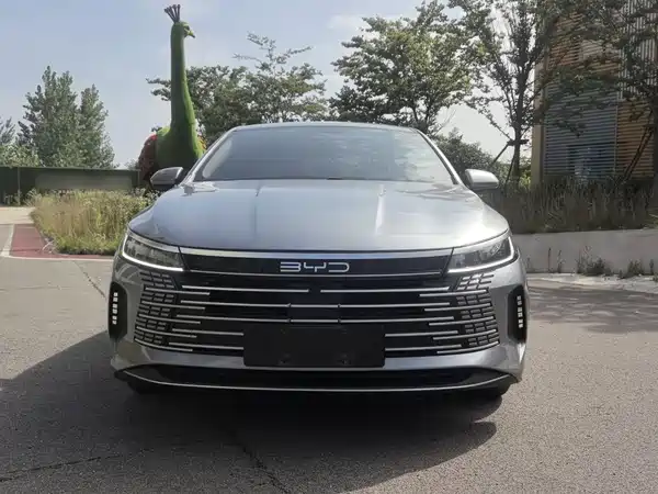 BYD Destroyer 05 2024