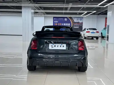 MINI MINI 2025