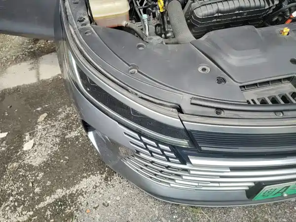 BYD Destroyer 05 2024