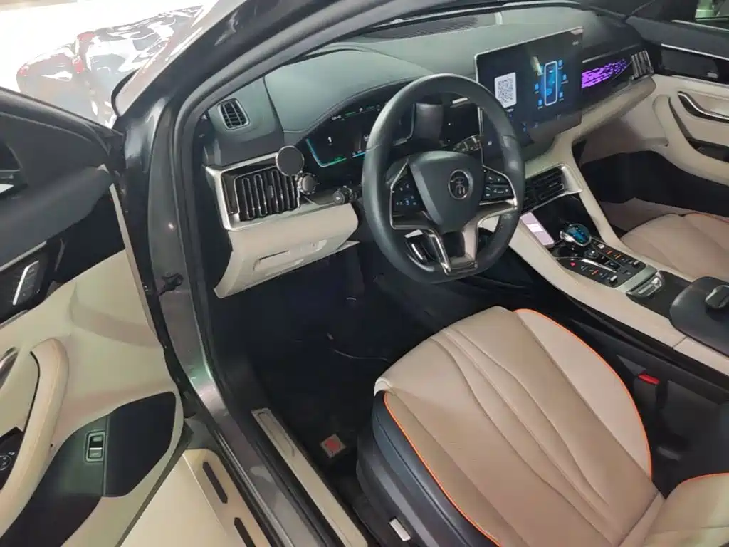 BYD Song PLUS New Energy 2021 — фото 16