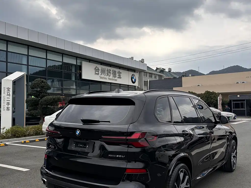 BMW X5 2025 — фото 12