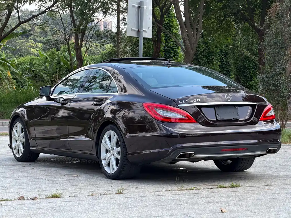 Mercedes-Benz CLS 2014 — фото 13