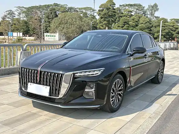 Hongqi H5 2024