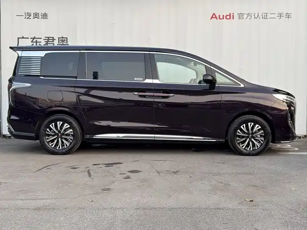 Hongqi HQ9 2024