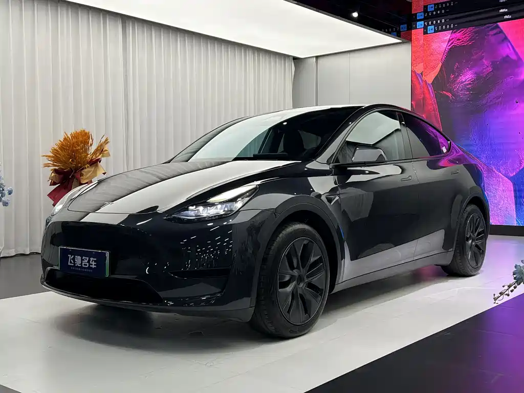 Tesla Model Y 2024 — фото 1