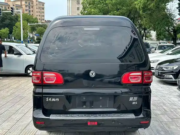 Dongfeng Lingzhi 2021