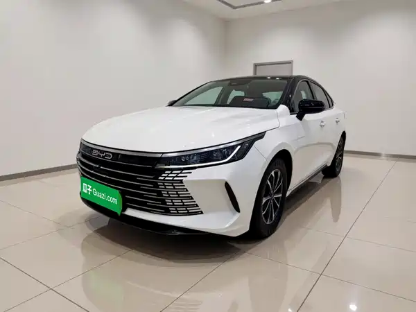 BYD Destroyer 05 2024