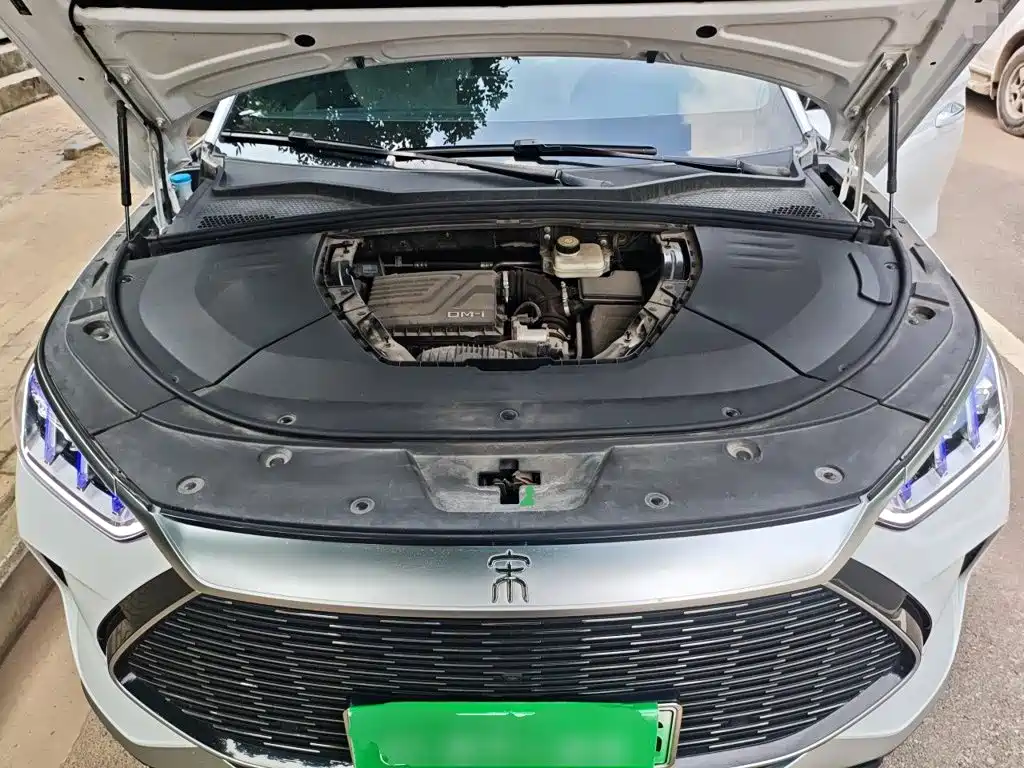 BYD Song PLUS New Energy 2023 — фото 16