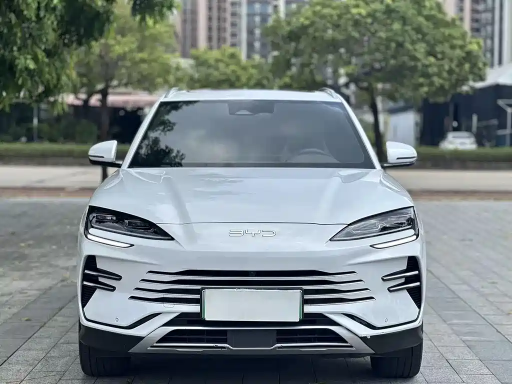 BYD PLUS New Energy 2024 — фото 2