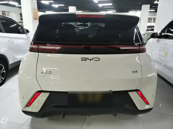 BYD Seagull 2024