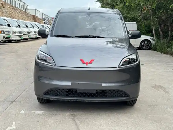 Wuling Hongguang New Energy 2025