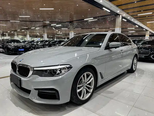 BMW 5 Series 2019