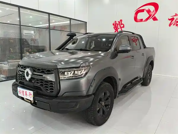 Great Wall Poer 2024