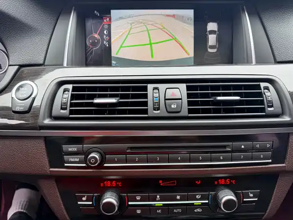 BMW 5 Series 2014