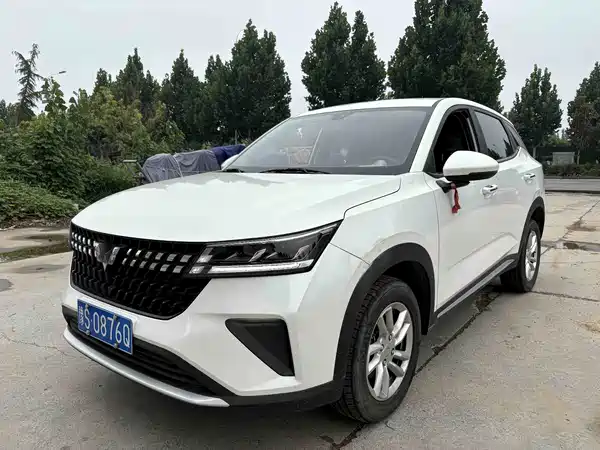 Wuling Xingchi 2024