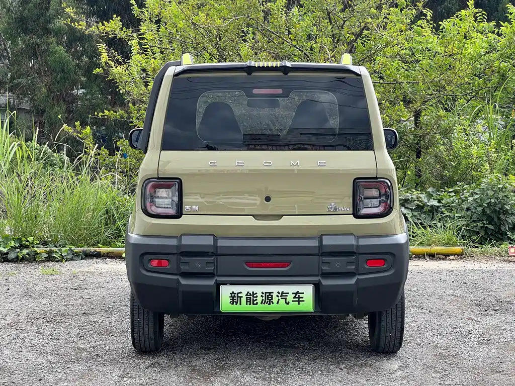 Geely Galaxy Panda 2023 — фото 8