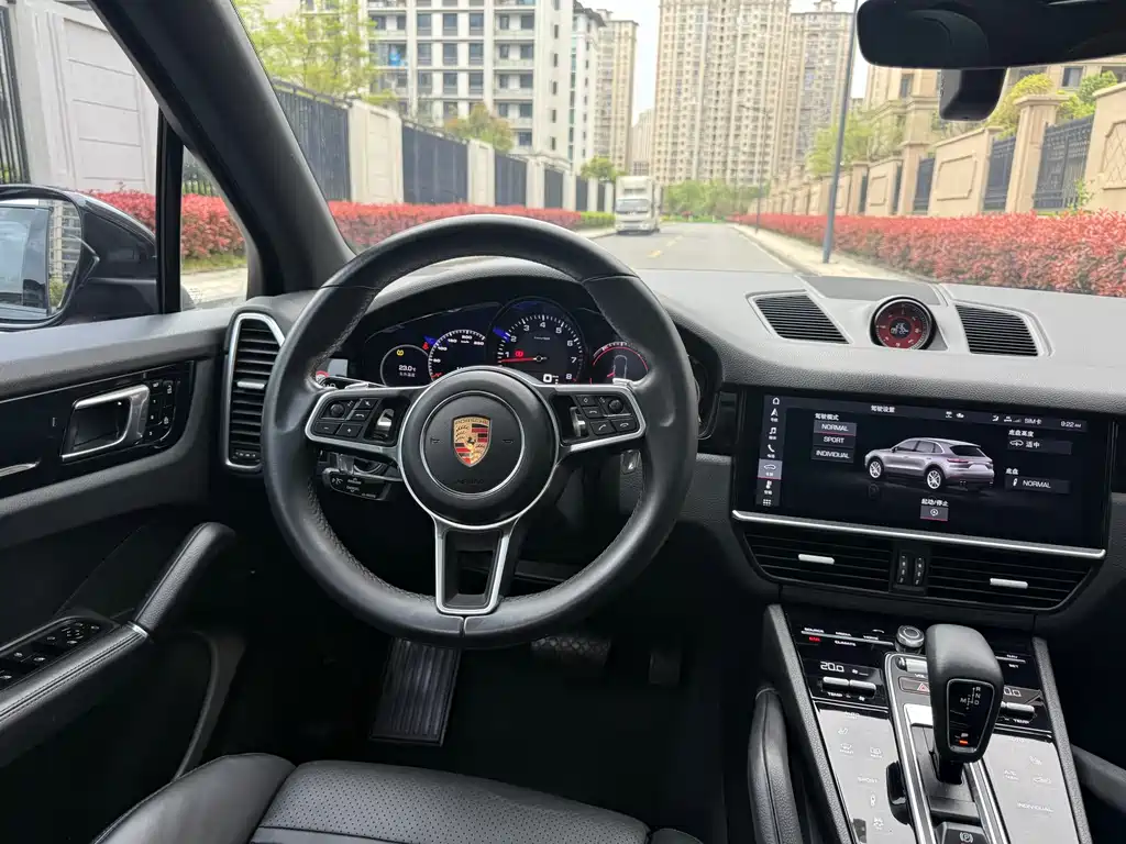 Porsche Cayenne 2020 — фото 13