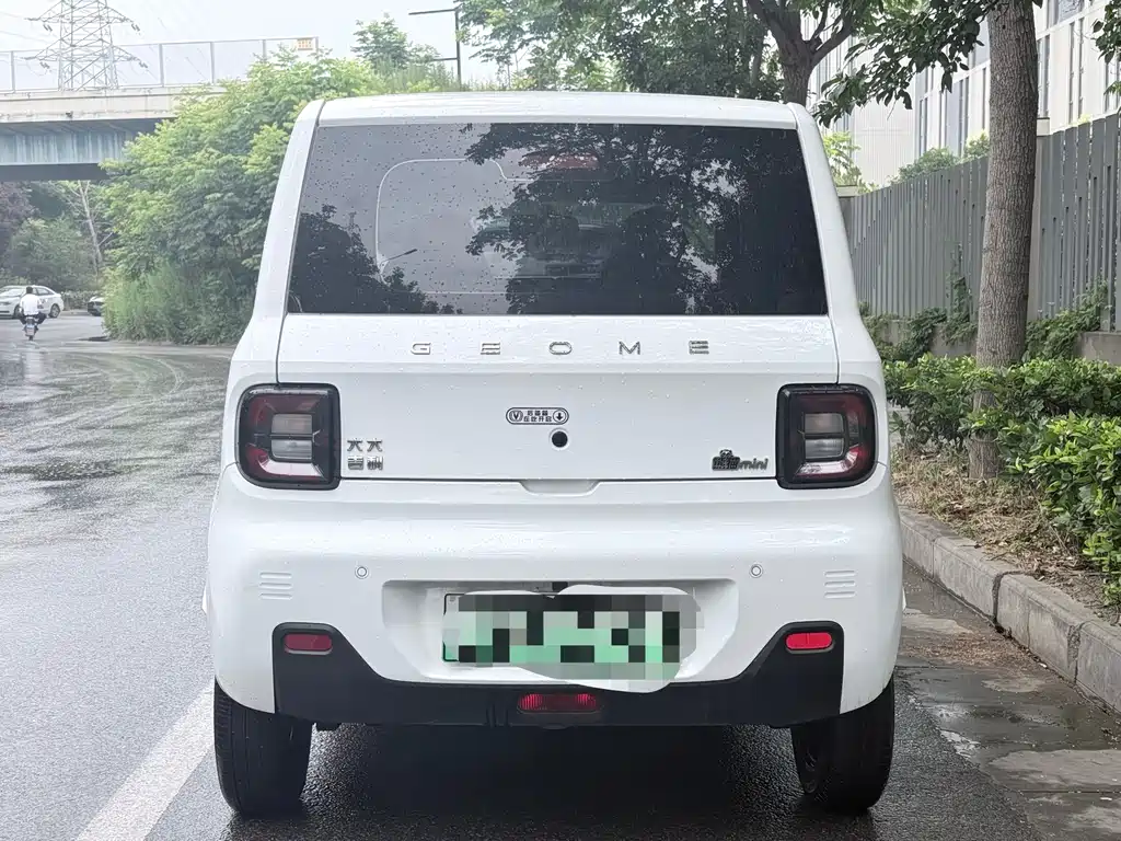 Galaxy Panda 2024