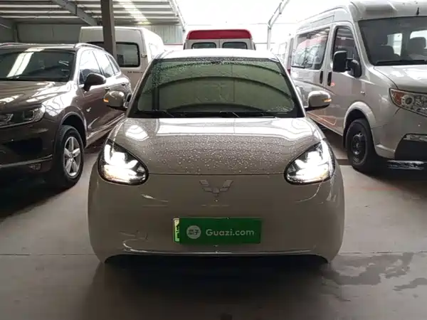 Wuling Bingo 2024