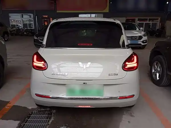 Wuling Bingo 2024