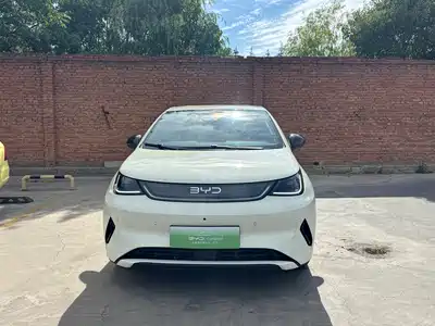 BYD Dolphin 2025