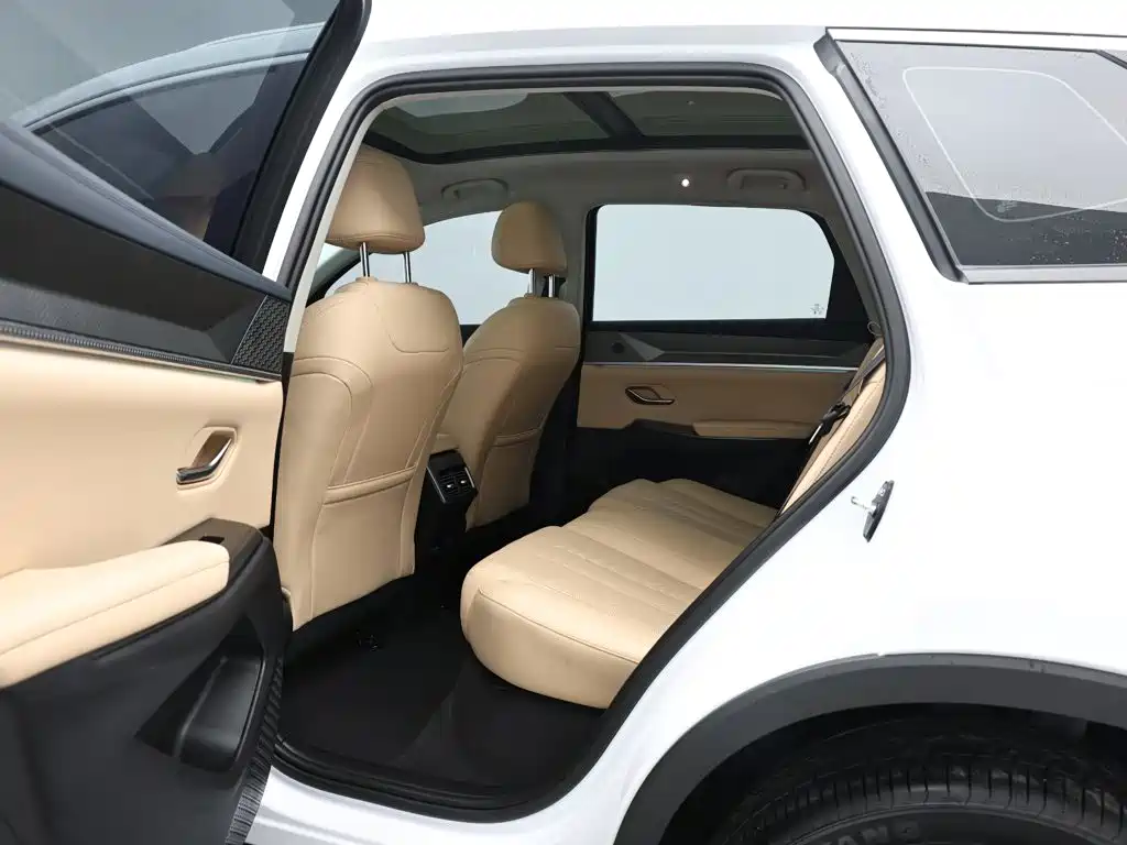 BYD Song Pro New Energy 2024 — фото 13