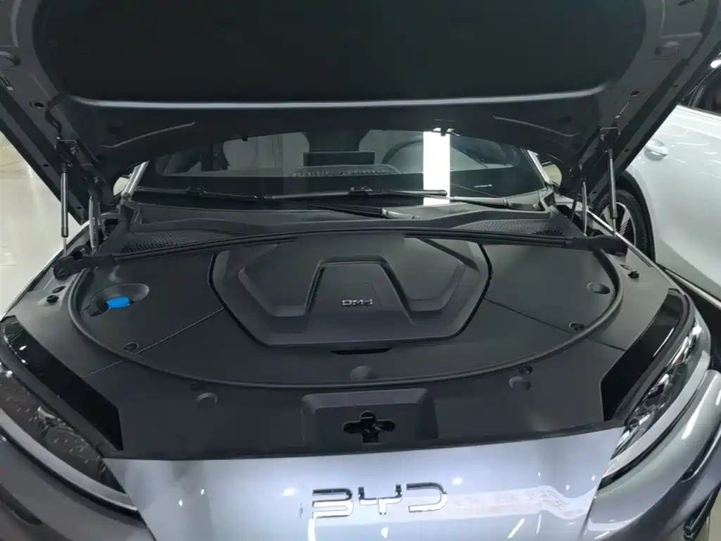 BYD Song PLUS New Energy 2025 — фото 20