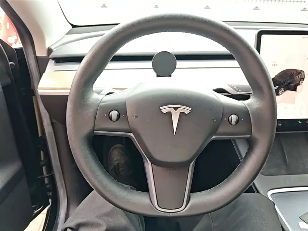 Tesla Model Y 2023 — фото 11